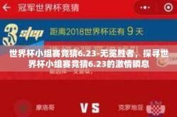 世界杯小组赛竞猜6.23-无冕胜者，探寻世界杯小组赛竞猜6.23的激情瞬息