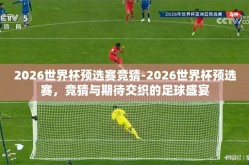 2026世界杯预选赛竞猜-2026世界杯预选赛，竞猜与期待交织的足球盛宴