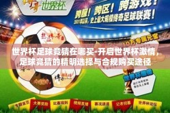 世界杯足球竞猜在哪买-开启世界杯激情，足球竞猜的精明选择与合规购买途径