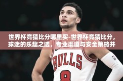 世界杯竞猜比分哪里买-世界杯竞猜比分，球迷的乐趣之选，专业渠道与安全策略并重指南