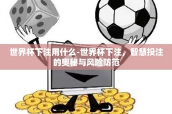 世界杯下注用什么-世界杯下注，智慧投注的奥秘与风险防范