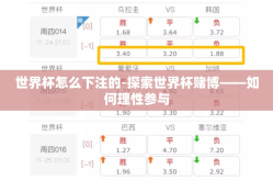 世界杯怎么下注的-探索世界杯赌博——如何理性参与