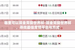 哪里可以现金竞猜世界杯-现金竞猜世界杯，寻找最佳竞猜平台与方式
