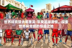 世界杯竞猜去哪里买-享受足球激情，探索世界杯竞猜的惊喜之地