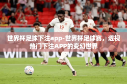 世界杯足球下注app-世界杯足球赛，透视热门下注APP的变幻世界