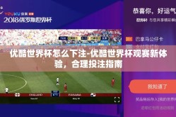 优酷世界杯怎么下注-优酷世界杯观赛新体验，合理投注指南