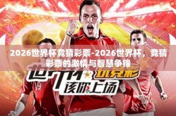 2026世界杯竞猜彩票-2026世界杯，竞猜彩票的激情与智慧争锋