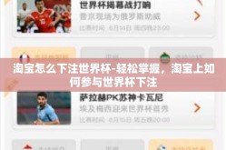 淘宝怎么下注世界杯-轻松掌握，淘宝上如何参与世界杯下注