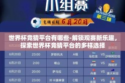 世界杯竞猜平台有哪些-解锁观赛新乐趣，探索世界杯竞猜平台的多样选择