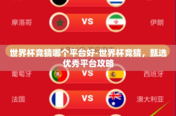 世界杯竞猜哪个平台好-世界杯竞猜，甄选优秀平台攻略
