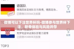 微博可以下注世界杯吗-微博参与世界杯下注，新奇体验与风险并存