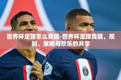 世界杯足球怎么竞猜-世界杯足球竞猜，规则、策略与欢乐的共享