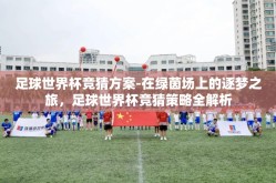 足球世界杯竞猜方案-在绿茵场上的逐梦之旅，足球世界杯竞猜策略全解析