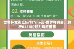 世界杯竞彩觅bs18*me苔-世界杯竞彩，解析BS18的魅力与应用苔