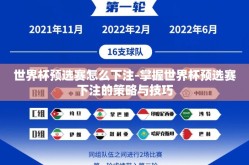 世界杯预选赛怎么下注-掌握世界杯预选赛下注的策略与技巧