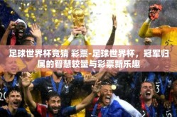 足球世界杯竞猜 彩票-足球世界杯，冠军归属的智慧较量与彩票新乐趣