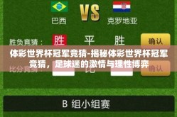 体彩世界杯冠军竞猜-揭秘体彩世界杯冠军竞猜，足球迷的激情与理性博弈