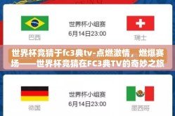 世界杯竞猜于fc3典tv-点燃激情，燃爆赛场——世界杯竞猜在FC3典TV的奇妙之旅
