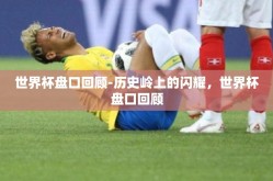 世界杯盘口回顾-历史岭上的闪耀，世界杯盘口回顾