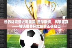 世界杯竞猜去哪里买-足球激情，赛事盛宴——解锁世界杯竞猜的正确窗口
