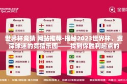 世界杯竞猜 网站推荐-揭秘2023世界杯，资深球迷的竞猜乐园——找到你胜利起点的网站指南
