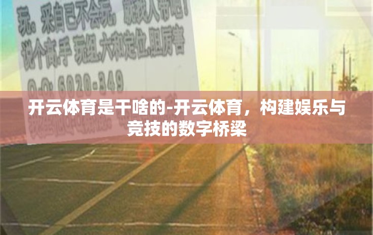 开云体育是干啥的-开云体育，构建娱乐与竞技的数字桥梁