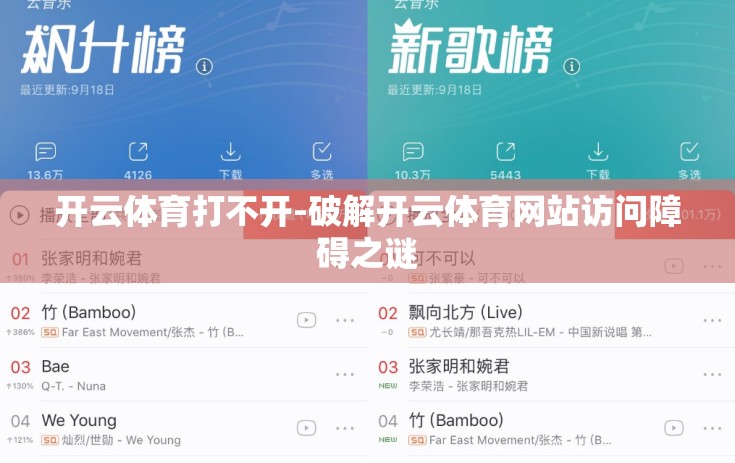 开云体育打不开-破解开云体育网站访问障碍之谜