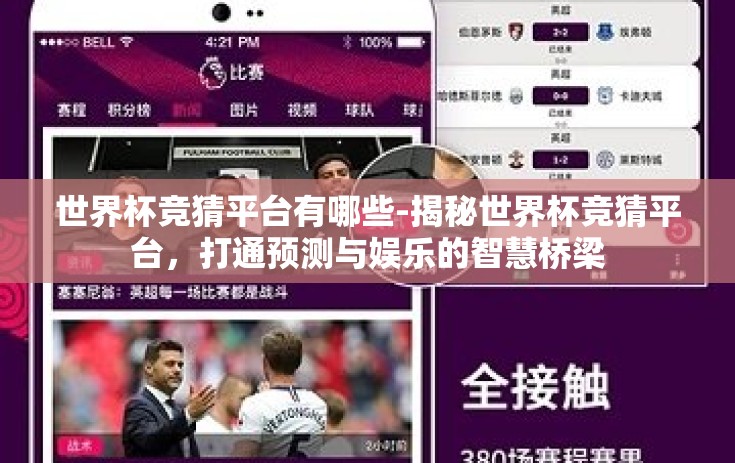 世界杯竞猜平台有哪些-揭秘世界杯竞猜平台，打通预测与娱乐的智慧桥梁