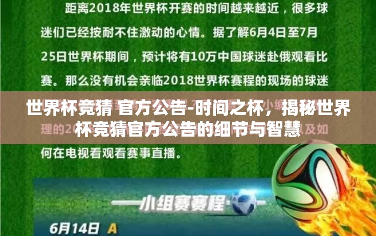 世界杯竞猜 官方公告-时间之杯，揭秘世界杯竞猜官方公告的细节与智慧