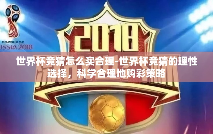 世界杯竞猜怎么买合理-世界杯竞猜的理性选择，科学合理地购彩策略