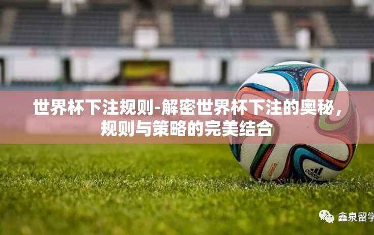 世界杯下注规则-解密世界杯下注的奥秘，规则与策略的完美结合