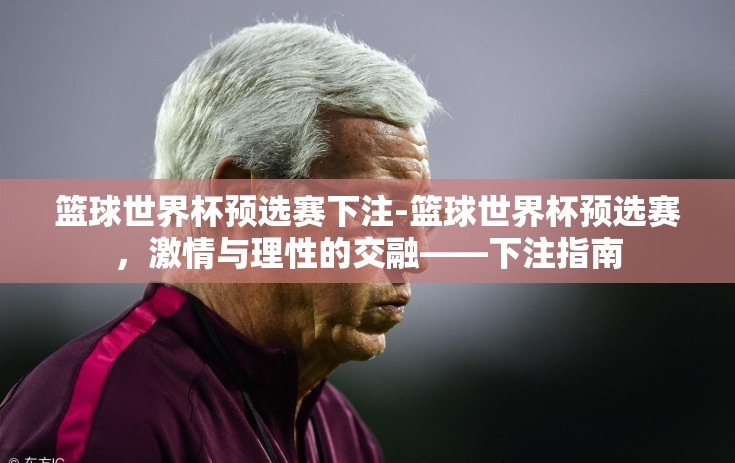 篮球世界杯预选赛下注-篮球世界杯预选赛，激情与理性的交融——下注指南