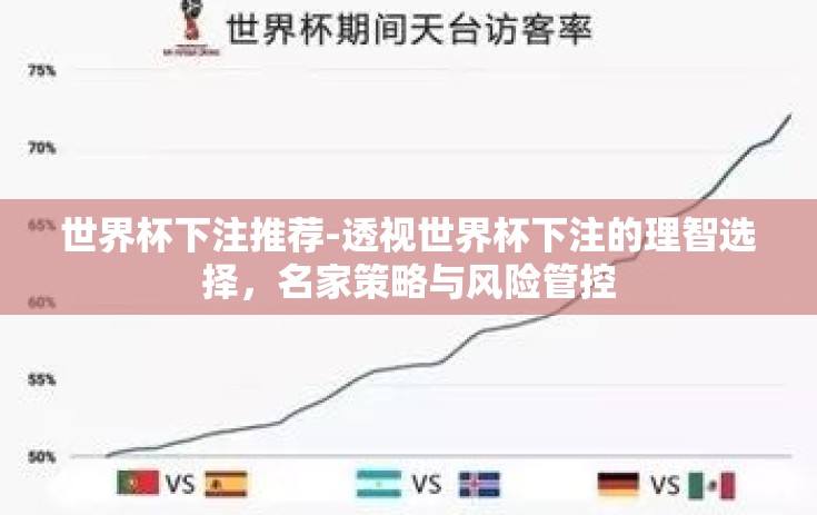 世界杯下注推荐-透视世界杯下注的理智选择，名家策略与风险管控