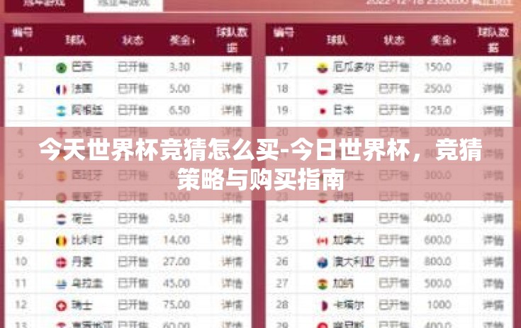 今天世界杯竞猜怎么买-今日世界杯，竞猜策略与购买指南
