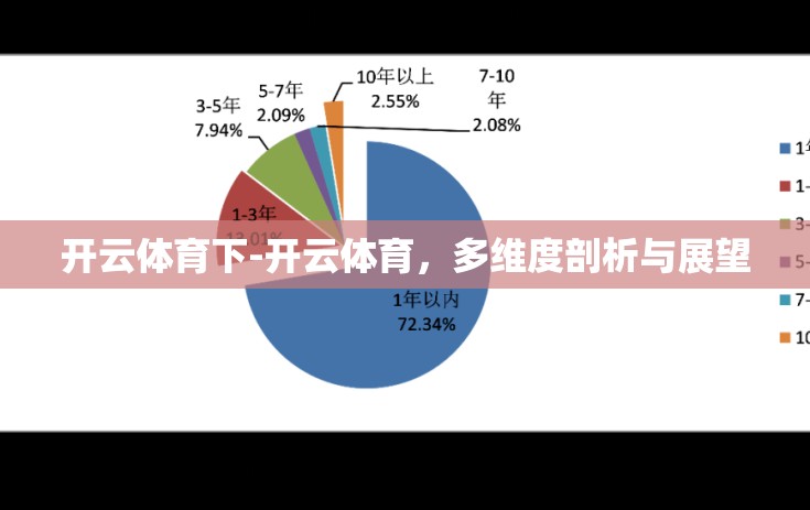 开云体育下-开云体育，多维度剖析与展望