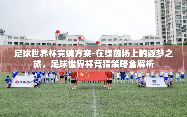 足球世界杯竞猜方案-在绿茵场上的逐梦之旅，足球世界杯竞猜策略全解析