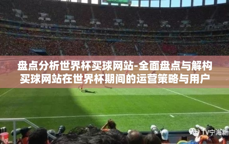 盘点分析世界杯买球网站-全面盘点与解构买球网站在世界杯期间的运营策略与用户吸引机制