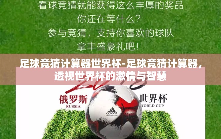 足球竞猜计算器世界杯-足球竞猜计算器，透视世界杯的激情与智慧