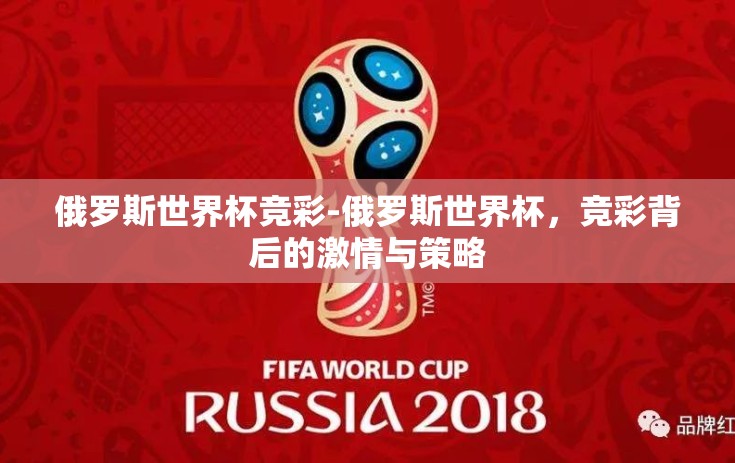 俄罗斯世界杯竞彩-俄罗斯世界杯，竞彩背后的激情与策略