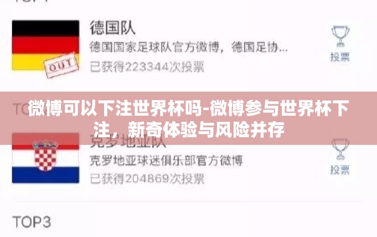微博可以下注世界杯吗-微博参与世界杯下注，新奇体验与风险并存