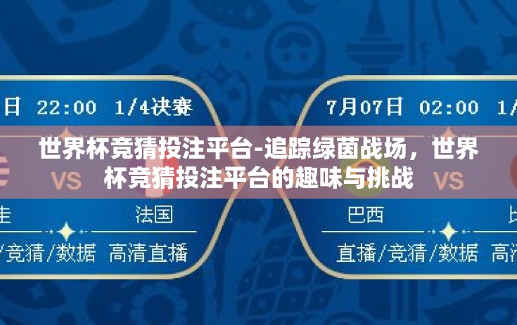 世界杯竞猜投注平台-追踪绿茵战场，世界杯竞猜投注平台的趣味与挑战