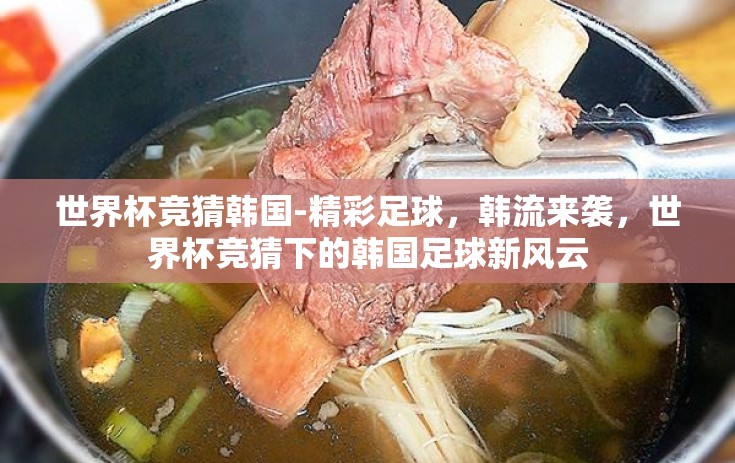 世界杯竞猜韩国-精彩足球，韩流来袭，世界杯竞猜下的韩国足球新风云