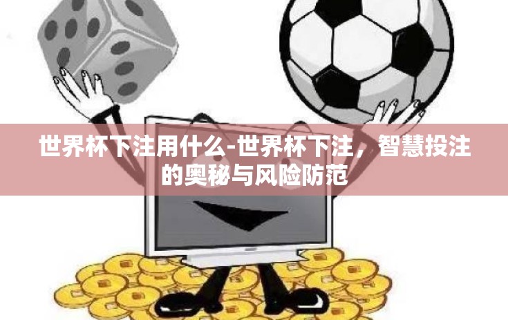 世界杯下注用什么-世界杯下注，智慧投注的奥秘与风险防范