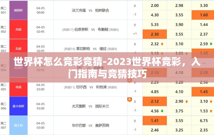 世界杯怎么竞彩竞猜-2023世界杯竞彩，入门指南与竞猜技巧