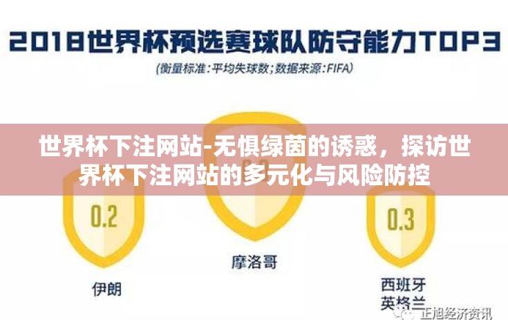 世界杯下注网站-无惧绿茵的诱惑，探访世界杯下注网站的多元化与风险防控