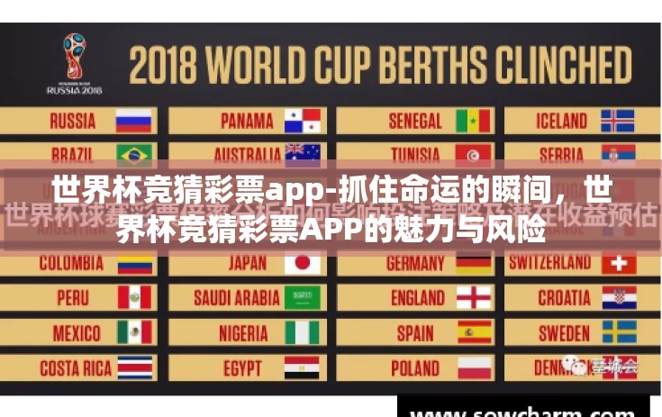 世界杯竞猜彩票app-抓住命运的瞬间，世界杯竞猜彩票APP的魅力与风险