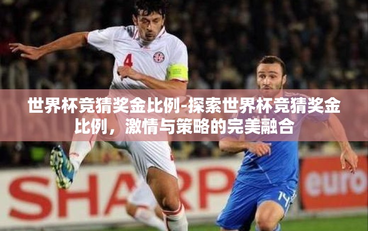 世界杯竞猜奖金比例-探索世界杯竞猜奖金比例，激情与策略的完美融合