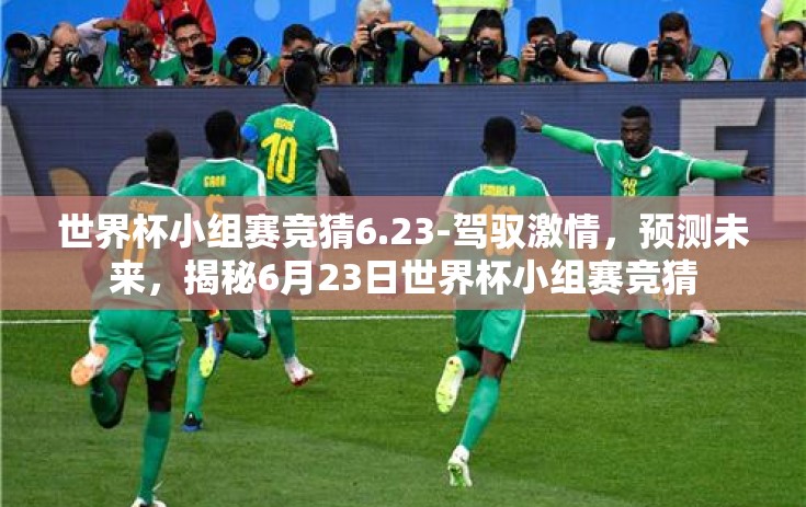 世界杯小组赛竞猜6.23-驾驭激情，预测未来，揭秘6月23日世界杯小组赛竞猜