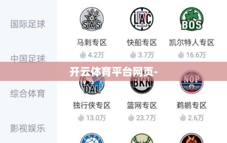 开云体育平台网页-