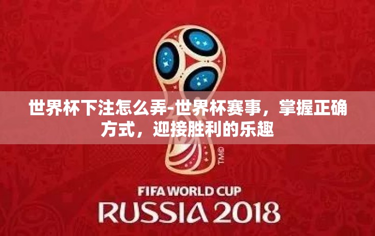 世界杯下注怎么弄-世界杯赛事，掌握正确方式，迎接胜利的乐趣